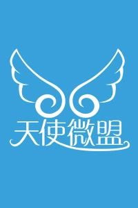 深耕区域市场，探索商务咨询新路径——以山东拓志商务咨询为例