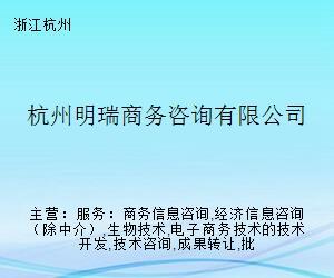 杭州明瑞商务咨询 专业商务咨询服务的领航者