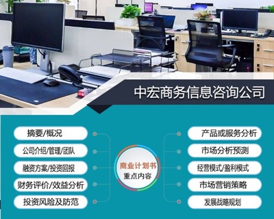 绵阳项目商业计划书编著与商务咨询综合服务方案